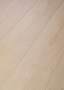 Ascent NB Shaw Luxury Vinyl - 2832V - 12