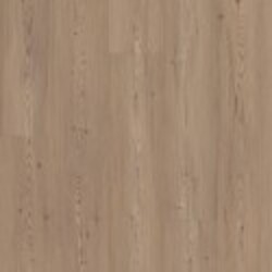 Ascent NB Shaw Luxury Vinyl - 2832V - 14