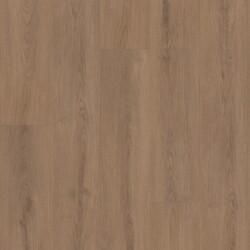 Ascent NB Shaw Luxury Vinyl - 2832V - 20