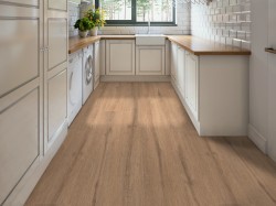 Ascent NB Shaw Luxury Vinyl - 2832V - 22