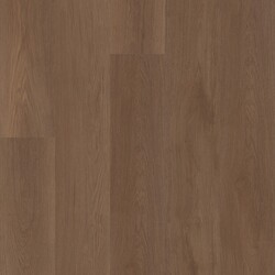 Ascent NB Shaw Luxury Vinyl - 2832V - 23