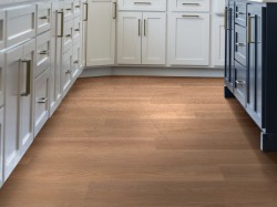 Ascent NB Shaw Luxury Vinyl - 2832V - 25