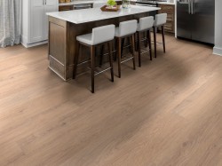 Ascent NB Shaw Luxury Vinyl - 2832V - 28