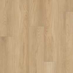 Distinction Plus Shaw Luxury Vinyl - 2045V - 10