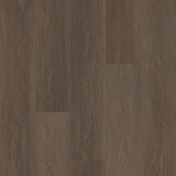 Distinction Plus Shaw Luxury Vinyl - 2045V - 28