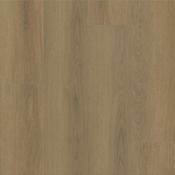 Dwell Shaw Luxury Vinyl - 3080V - 25