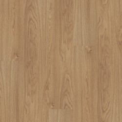 Infinite 8 Shaw Luxury Vinyl - 3339V - 22