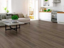 Infinite LL Shaw Luxury Vinyl - 3365V - 30