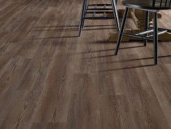 Paragon Plus 7" USA Shaw Luxury Vinyl - 102US - 24