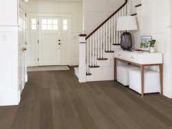 Reawaken Shaw Luxury Vinyl w/ Paw Defense® - 3061V - 18