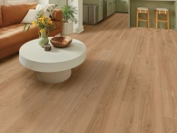 Titan HD Plus Platinum Shaw Luxury Vinyl - 3302V - 10