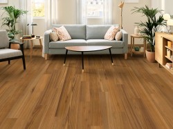 Bridgewater Eucalyptus Shaw Flooring - SW790 - 8