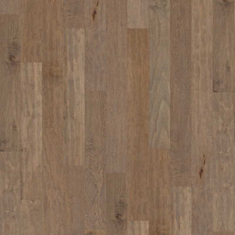 Coral Springs Shaw Flooring - SW591 - 7