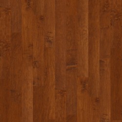 Coral Springs Shaw Flooring - SW591 - 10