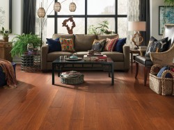 Coral Springs Shaw Flooring - SW591 - 12