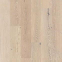 Cornerstone II Shaw Flooring - SW789 - 1