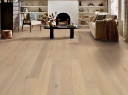 Cornerstone II Shaw Flooring - SW789 - 4