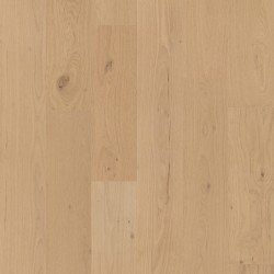 Cornerstone II Shaw Flooring - SW789 - 5