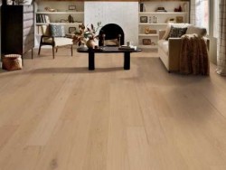 Cornerstone II Shaw Flooring - SW789 - 6