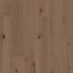 Exploration Oak Shaw Flooring - SW713 - 10