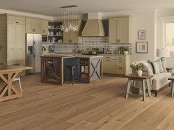 Expressions 9.5" Shaw Hardwood Flooring - SW754 - 24