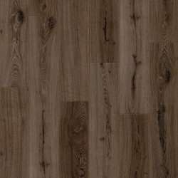 CR504 Cortec Originals Retro Revival Collection - CR504 - 12
