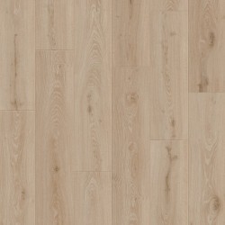 CR504 Cortec Originals Retro Revival Collection - CR504 - 14