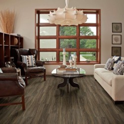 Endura Plus Shaw Floorte Luxury Vinyl Floor - 0736V - 22