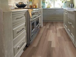 Endura Plus Shaw Floorte Luxury Vinyl Floor - 0736V - 29