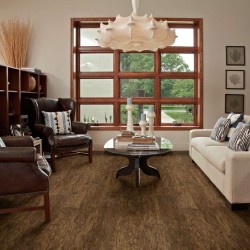 Endura Plus Shaw Floorte Luxury Vinyl Floor - 0736V - 40