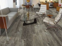 Endura Plus Shaw Floorte Luxury Vinyl Floor - 0736V - 49
