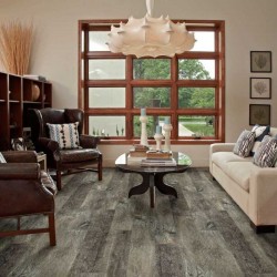 Endura Plus Shaw Floorte Luxury Vinyl Floor - 0736V - 52