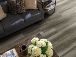 Endura Plus Shaw Floorte Luxury Vinyl Floor - 0736V - 62