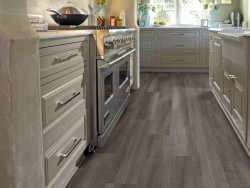 Endura Plus Shaw Floorte Luxury Vinyl Floor - 0736V - 65
