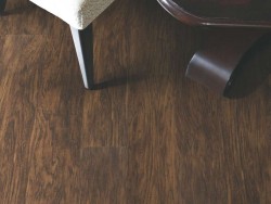Endura Plus Shaw Floorte Luxury Vinyl Floor - 0736V - 74