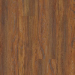 Endura Plus Shaw Floorte Luxury Vinyl Floor - 0736V - 79
