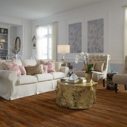 Endura Plus Shaw Floorte Luxury Vinyl Floor - 0736V - 81
