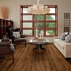 Endura Plus Shaw Floorte Luxury Vinyl Floor - 0736V - 82