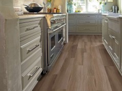 Endura Plus Shaw Floorte Luxury Vinyl Floor - 0736V - 101