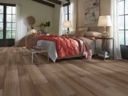 Endura Plus Shaw Floorte Luxury Vinyl Floor - 0736V - 102