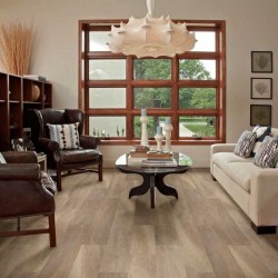 Endura Plus Shaw Floorte Luxury Vinyl Floor - 0736V - 106