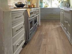 Endura Plus Shaw Floorte Luxury Vinyl Floor - 0736V - 131