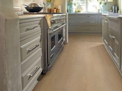 Endura Plus Shaw Floorte Luxury Vinyl Floor - 0736V - 138