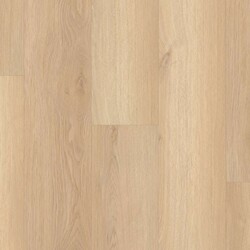 Endura Plus Shaw Floorte Luxury Vinyl Floor - 0736V - 139