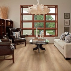 Endura Plus Shaw Floorte Luxury Vinyl Floor - 0736V - 142