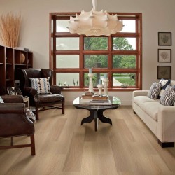 Endura Plus Shaw Floorte Luxury Vinyl Floor - 0736V - 167
