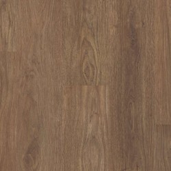 Endura Plus Shaw Floorte Luxury Vinyl Floor - 0736V - 170