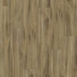 Hollywood Blvd Shaw Glue Down Vinyl Floor - 5M231 - 5