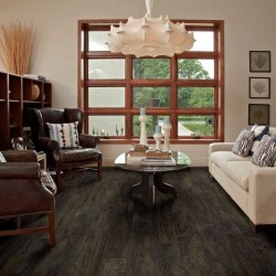 Pantheon HD Plus Shaw Luxury Vinyl - 2001V - 118