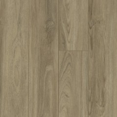 Pantheon HD Plus Shaw Floorte Vinyl Floor - 2001V - 161 Pantheon HD Plus Shaw Floorte Vinyl Floor - 2001V - 161
